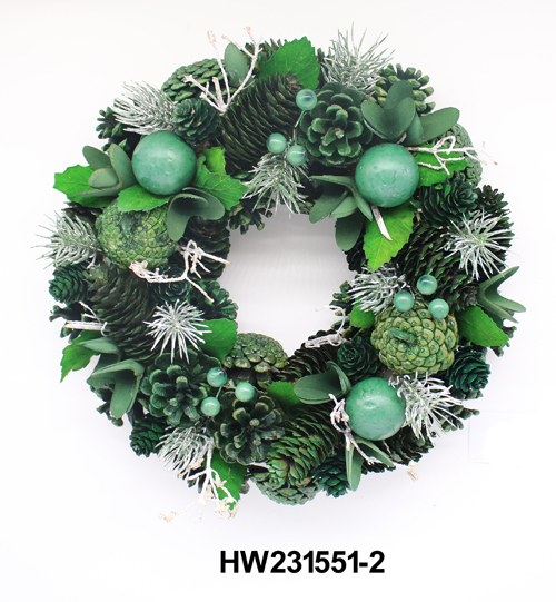 HW231551-2