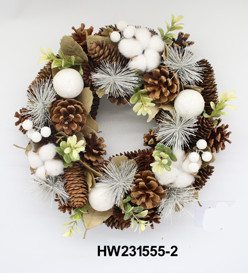 HW231555-2