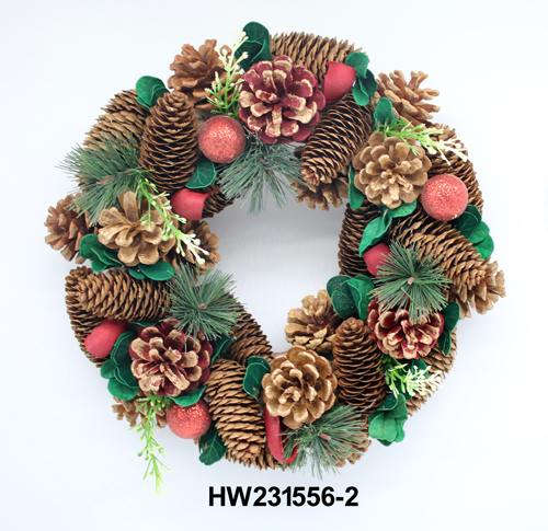 HW231556-2