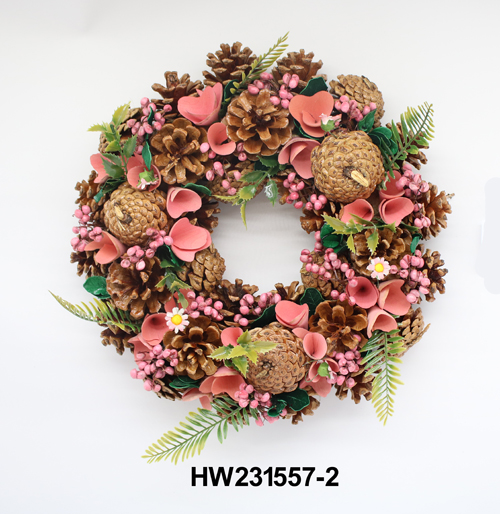 HW231557-2