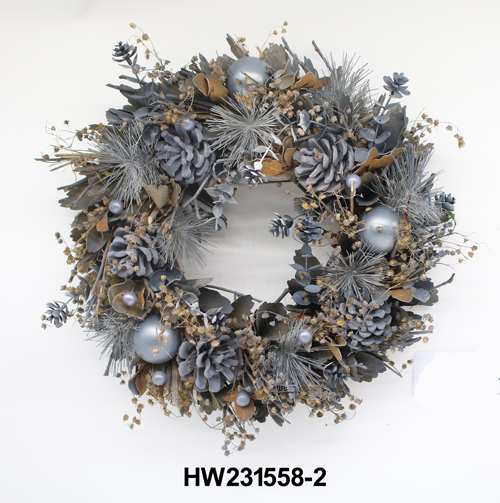 HW231558-2