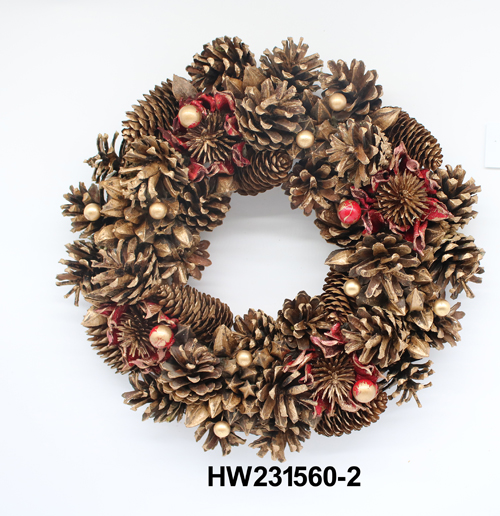 HW231560-2