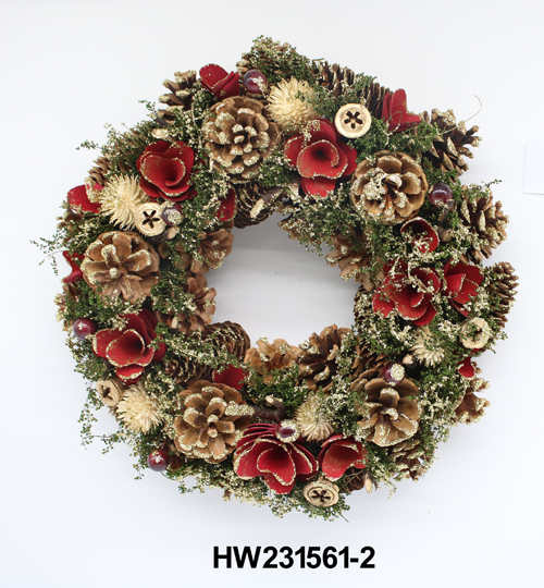 HW231561-2