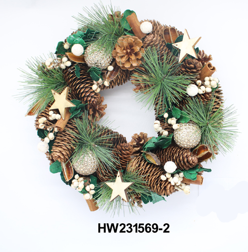 HW231569-2