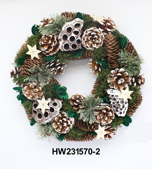 HW231570-2