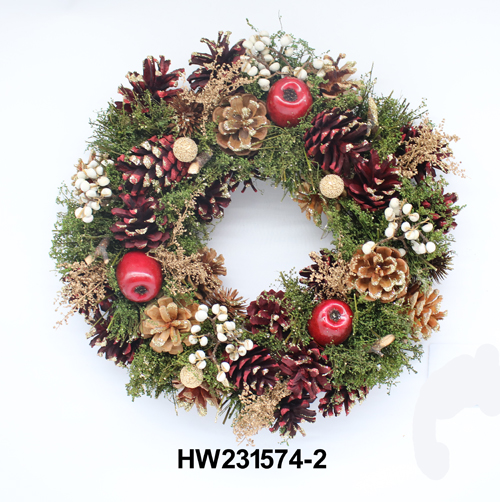HW231574-2