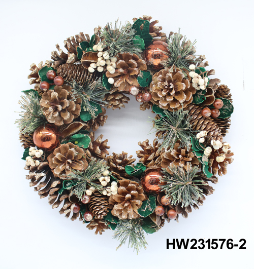 HW231576-2