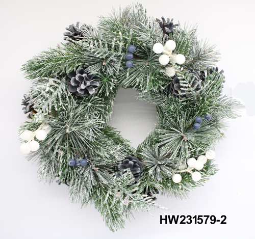 HW231579-2