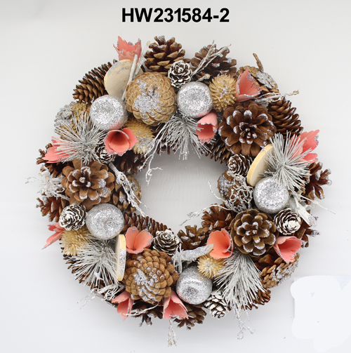 HW231584-2