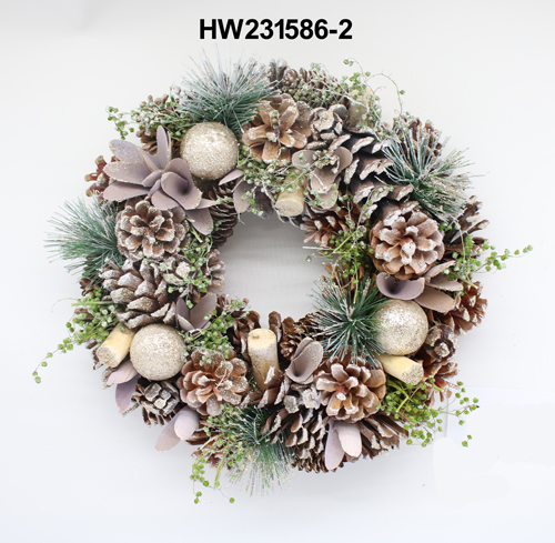 HW231586-2