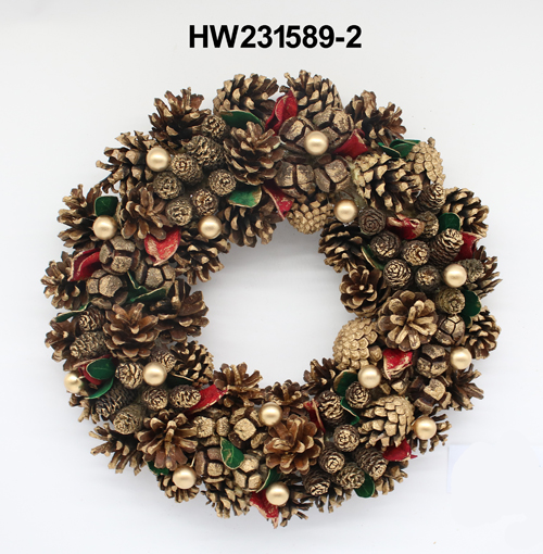 HW231589-2