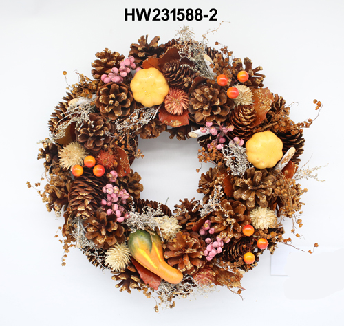 HW231588-2
