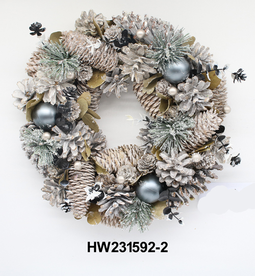 HW231592-2