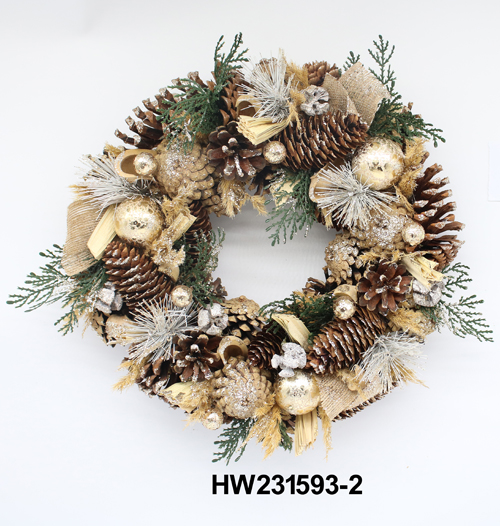 HW231593-2