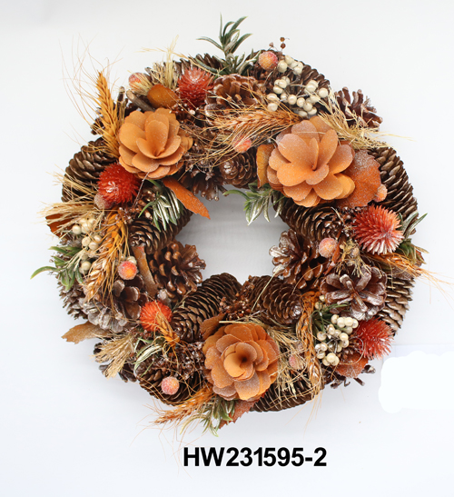 HW231595-2