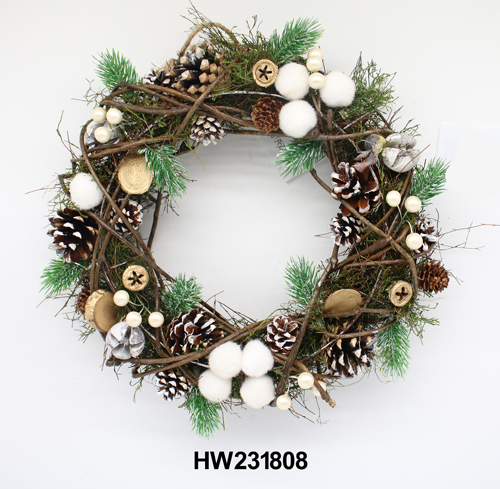 HW231808