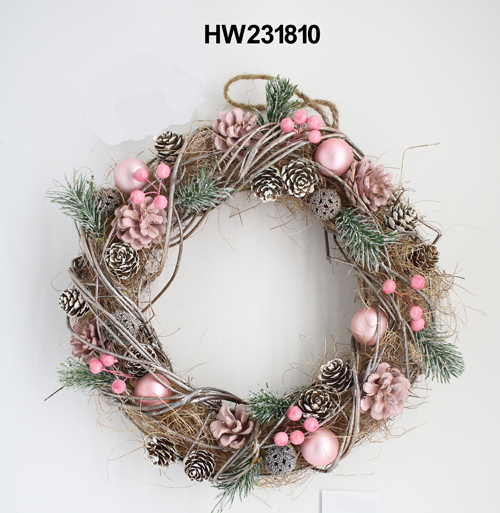 HW231810