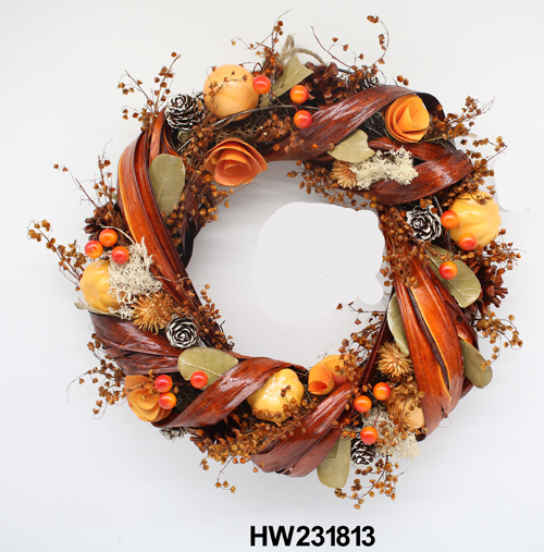 HW231813