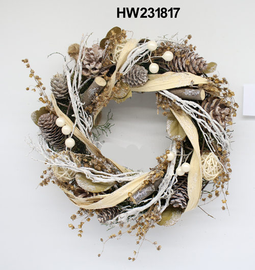 HW231817