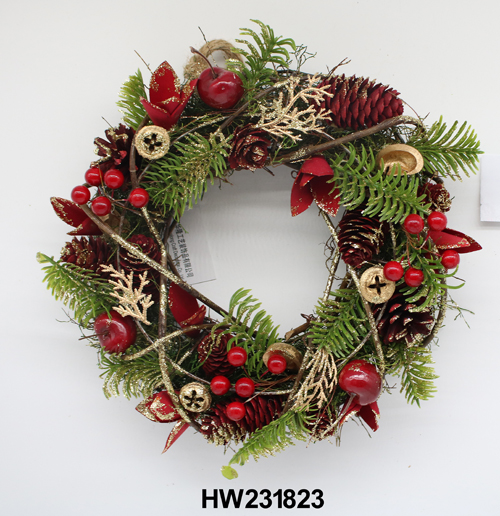 HW231823