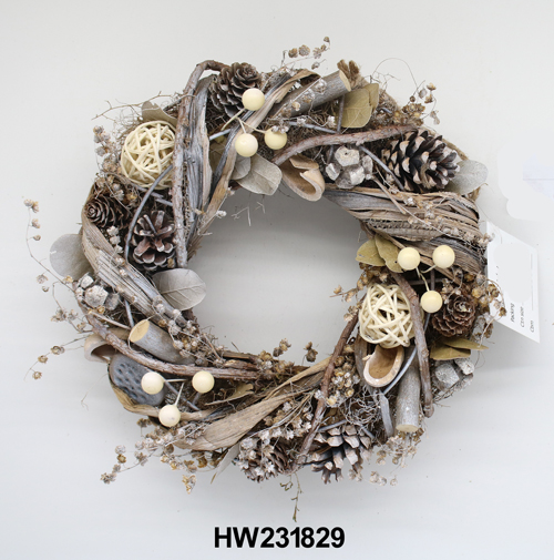 HW231829