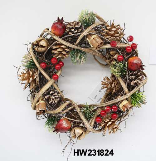 HW231824