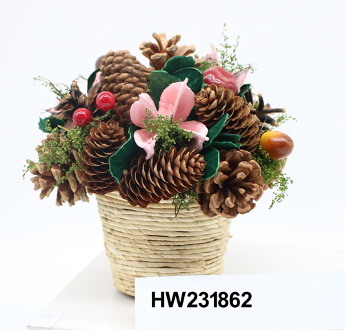 HW231862