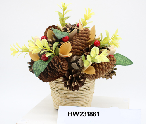 HW231861