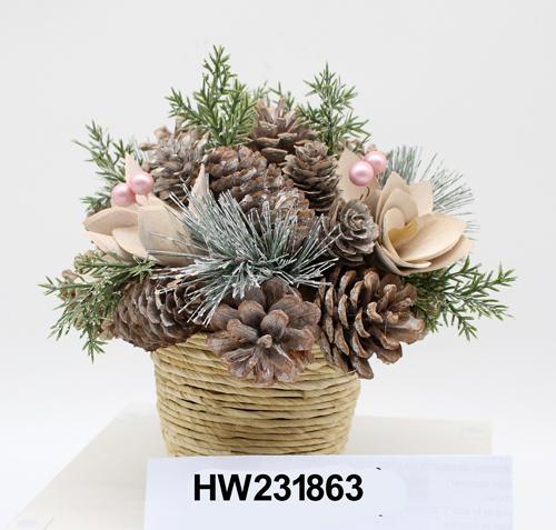 HW231863