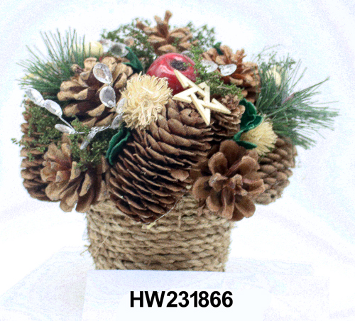 HW231866