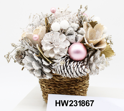 HW231867