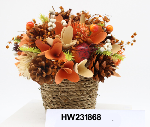 HW231868