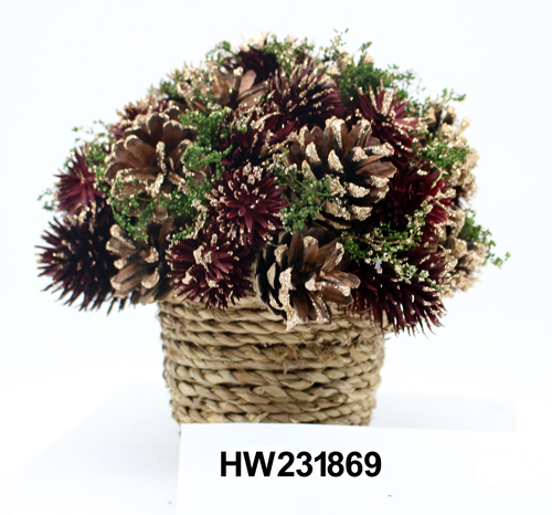 HW231869