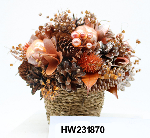 HW231870