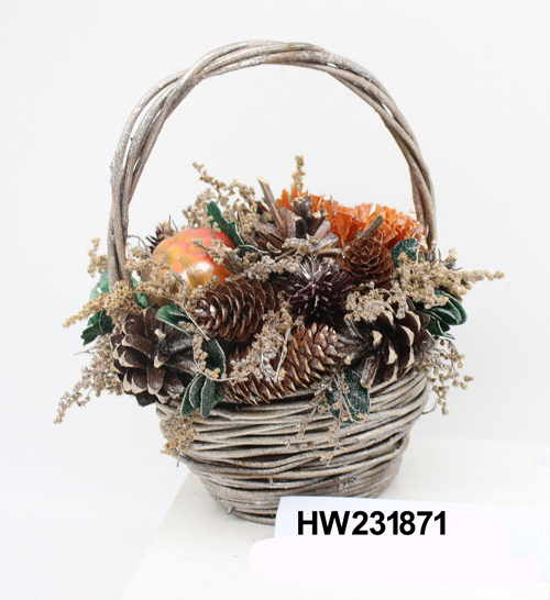 HW231871