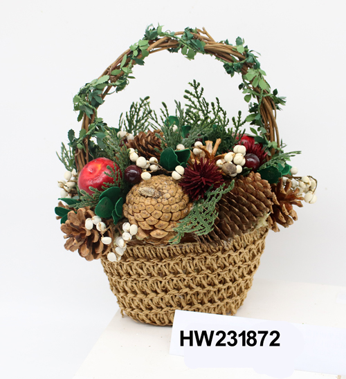 HW231872