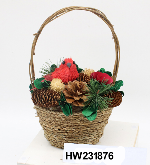 HW231876