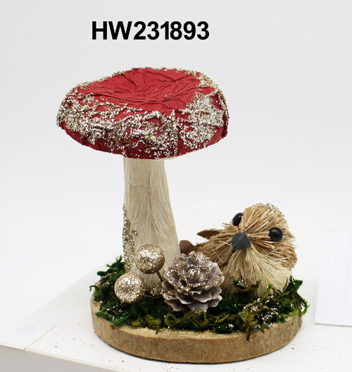 HW231893