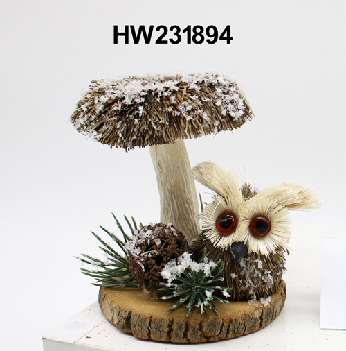 HW231894