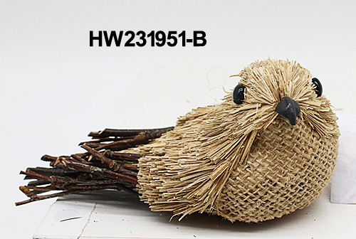 HW231951-B