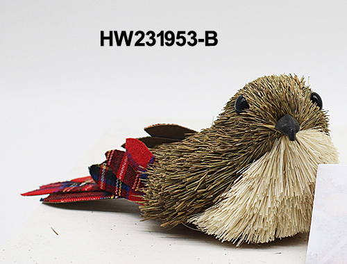 HW231953-B