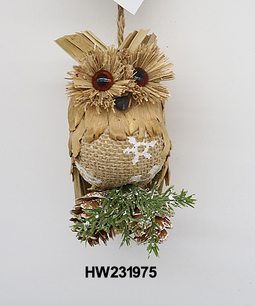 HW231975