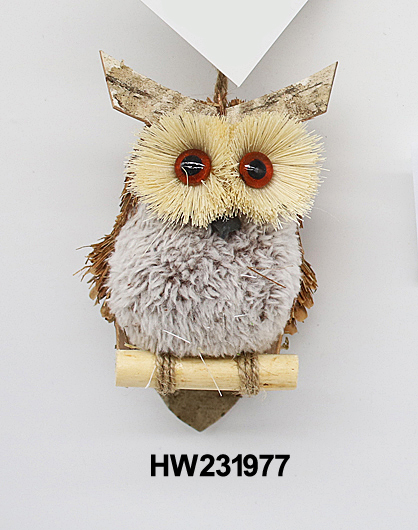HW231977