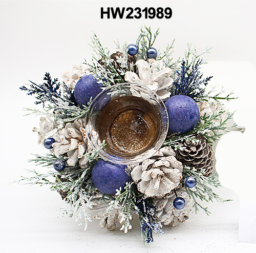 HW231989