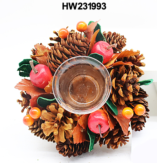 HW231993