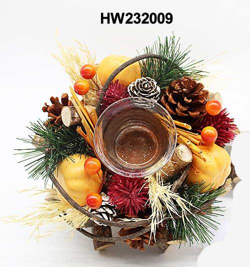 HW232009