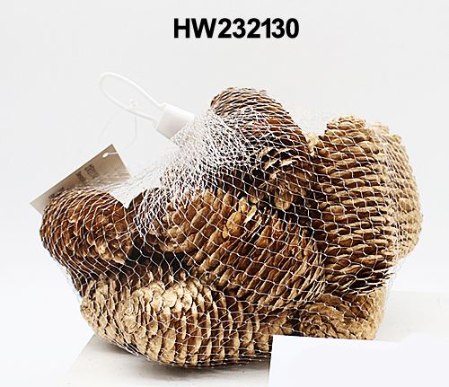 HW232130