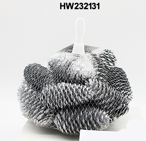 HW232131