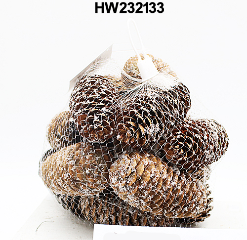 HW232133