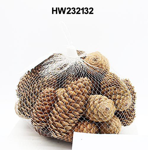 HW232132